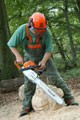 Click to see it big Ich mit Kettensäge, Impression aus dem Wald